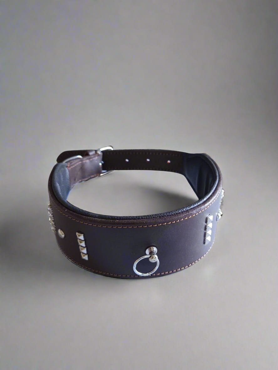 Heavy Leather Belt - Buy dog and pet products in Kathmandu, Nepal